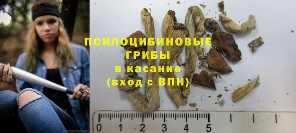 молекула духа Белокуриха