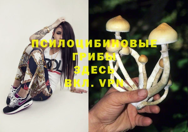 стафф Белоозёрский