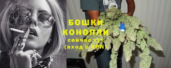 молекула духа Белокуриха