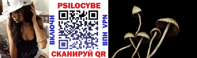OMG ТОР  Красноармейск  Псилоцибиновые грибы прущие грибы 